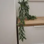- New سبليت