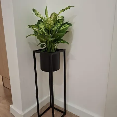 - New アパート スプリト