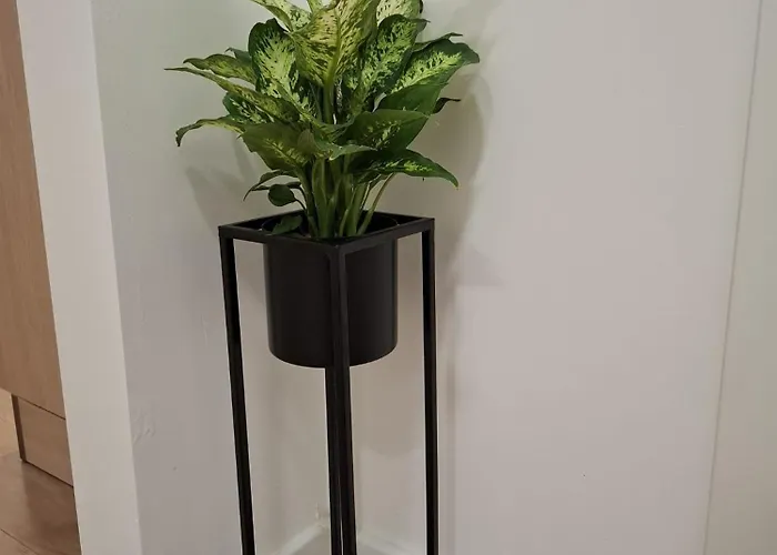 - New Apartamento Split